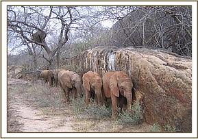 Kora, Lualeni & Naserian walking beside a rock
