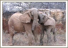 Taita pushes off Wendi