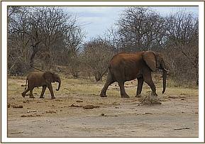 Mwende and Mulika