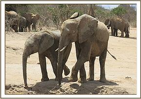 Ololoo and Lualeni