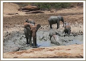 Mulika at mudbath with the orphans