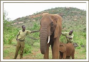 Keepers greet emily after a long time