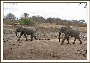 Mgeni and Kinna