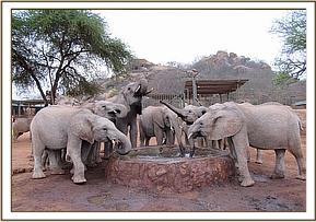 Madiba drinking water with the juniors
