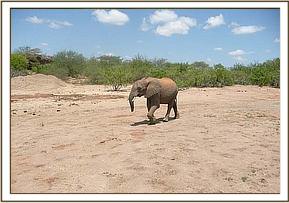 Taita