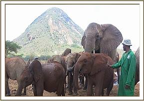 Nasalot inspecting the new babies