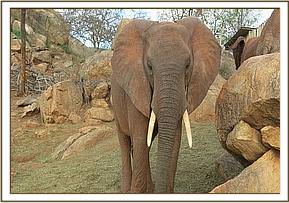Taita joins the youngsters