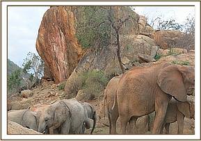 Mulika joins the orphans