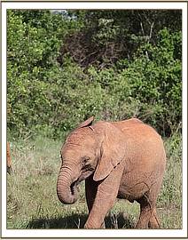 Enkesha leaving the mud bath