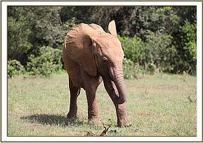 Maisha in a playful mood