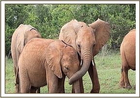 Enkesha and Sapalan have a tender moment