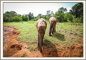 Maisha and Emoli find a quiet browsing spot