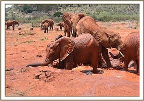Lempaute tries to push Sinya in the water