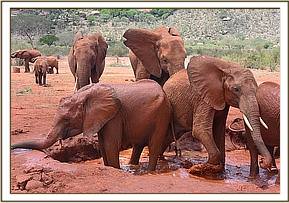 Wasessa, back, forcing Sinya to stay in the water