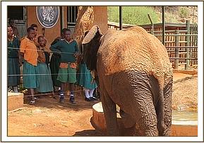 Lempaute comes to greet the school children