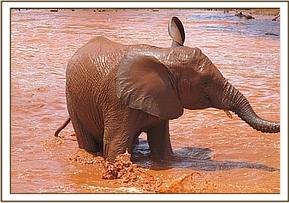 Sinya in a happy bathing moment