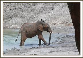 Lualeni at the mudbath