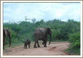 Mulika and her baby