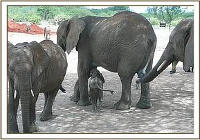 Mulika and her baby visiting