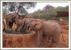 Wendi drinking with the orphans