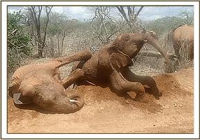Orwa and Narok enjoy playing along the road