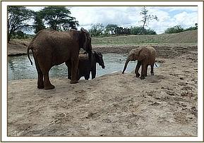 Nasalot and Sunyei greet Garzi