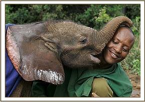 Lempaute kisses Amos