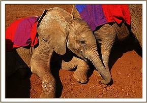 Sinya playing in the earth pile