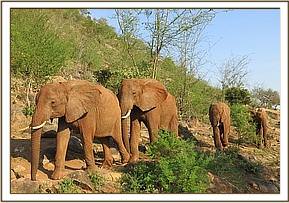 Emilys group come to meet the orphans