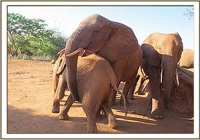 Thoma hugs Kihari