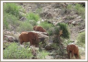 Wasessa, Lesanju and Sinya navigating rocks
