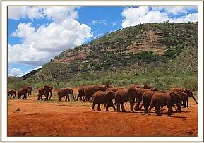 Lesanju leading them to the hill