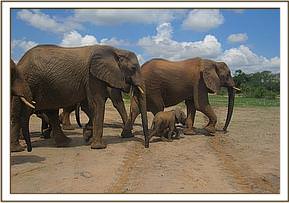 Wiva with all the ex-orphans