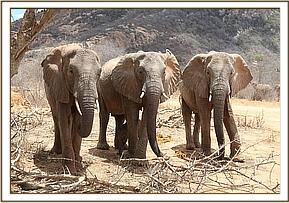 Wendi, Kinna and Nasalot (with baby Wiva)