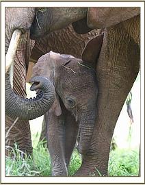 Eve rests against her Mum's legs