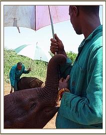 Lualeni with Amos