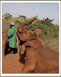 Lesanju having fun at the mudbath