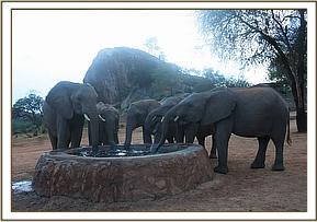 Madiba with the orphans