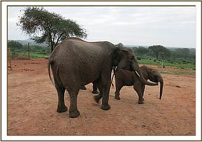 Wendi and Laragai