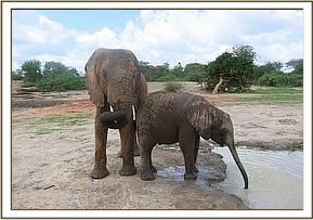 Wendi and Narok