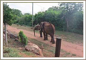 Laikipia comes to get Seraa