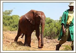 Orwa follows the keeper