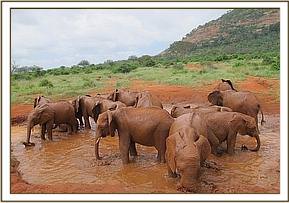 Mudbath