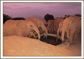 Lesanju and others have a drink
