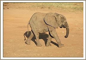 Mwende on a walk