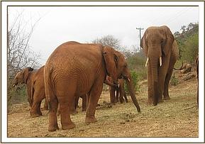 Laikipia with the youngsters