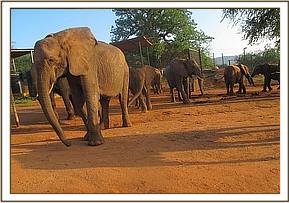 Mulika and some of the other ex orphans