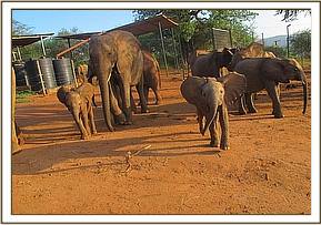 Mwende and Yet at the stockades