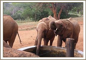 Mudanda and Arruba driking water