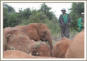 Orwa with the other orphans